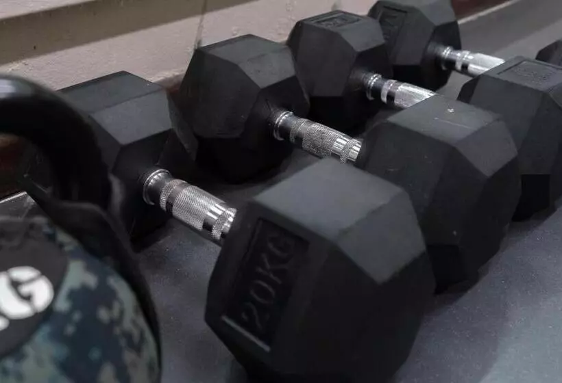 هتل Ibis Styles Cayenne Centre Amazonia