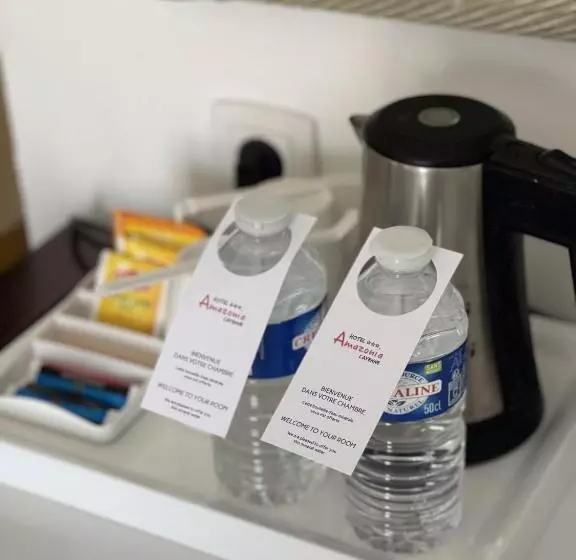 هتل Ibis Styles Cayenne Centre Amazonia