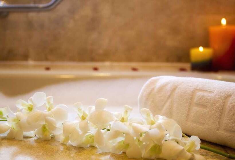 ホテル Melia Panama Canal