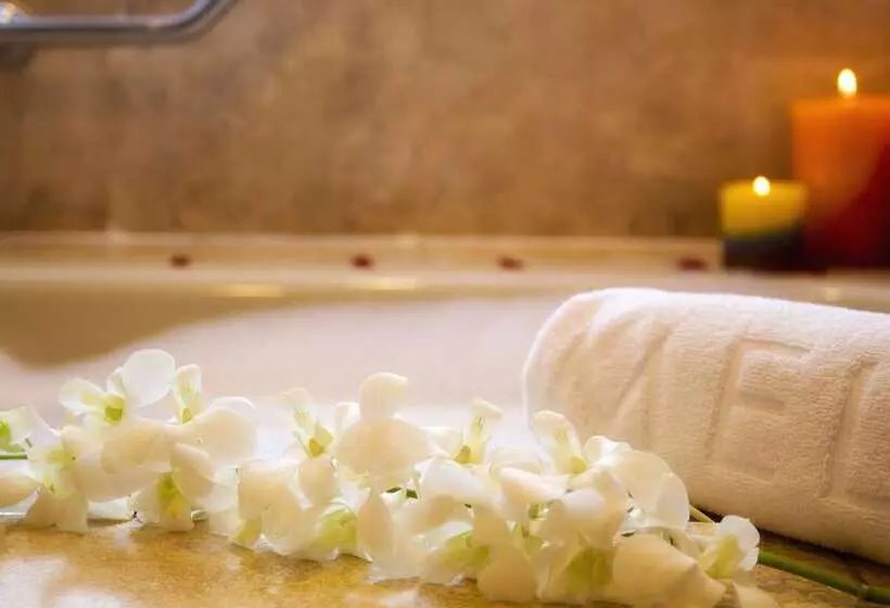 هتل Melia Panama Canal