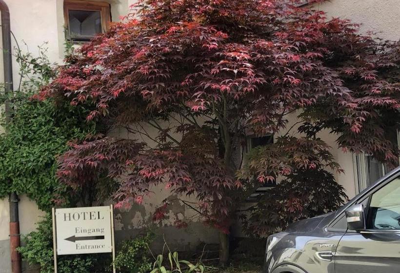 住宿加早餐  Kastanienbaum