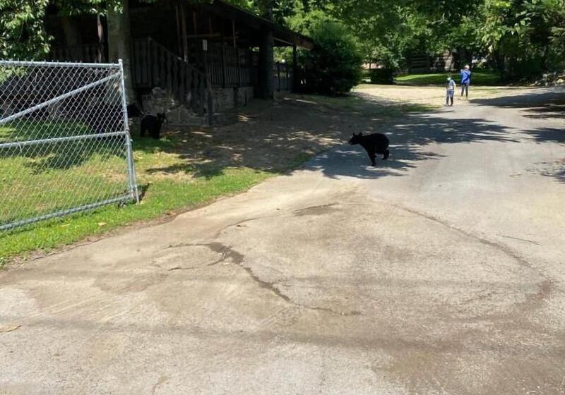 酒店 Bear Creek Inn Gatlinburg, Tn