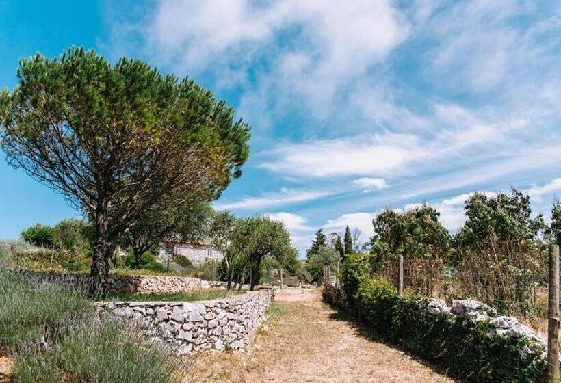 호텔 Casas De Pedra   Quinta Da Escola