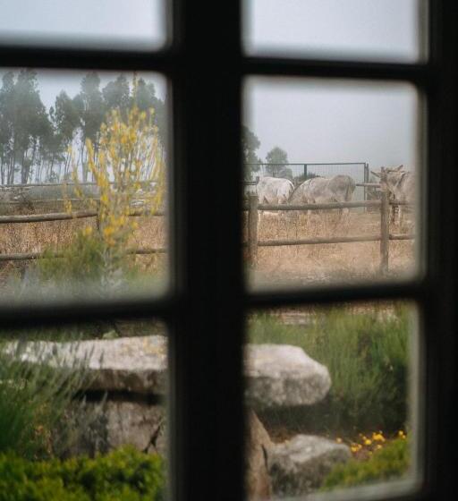 호텔 Casas De Pedra   Quinta Da Escola