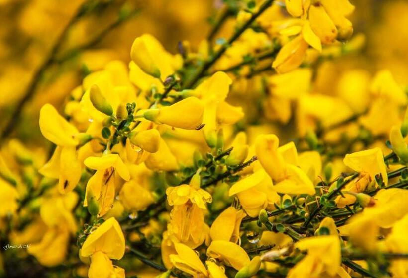 بنسيون Hostal La Llave