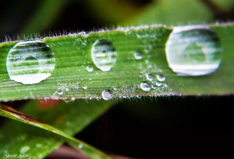 Majatalo Hostal La Llave