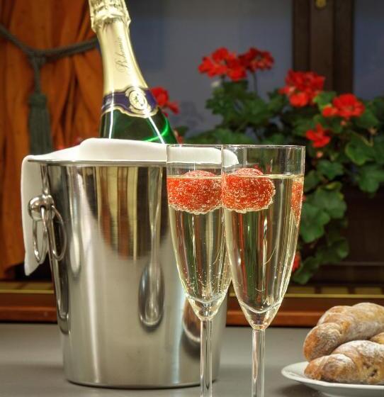 Отель Clementin