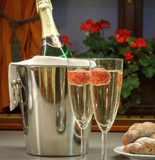 Отель Clementin