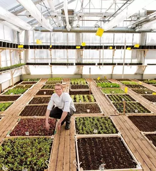 Högbo Brukshotell & Spa