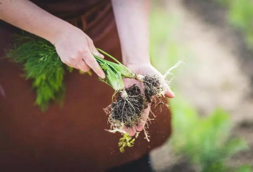 Högbo Brukshotell & Spa