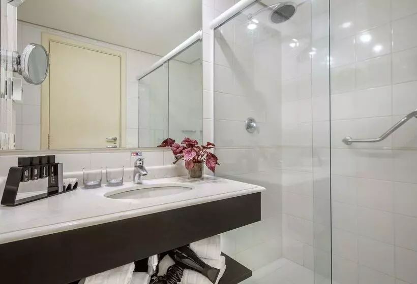 酒店 Melia Campinas