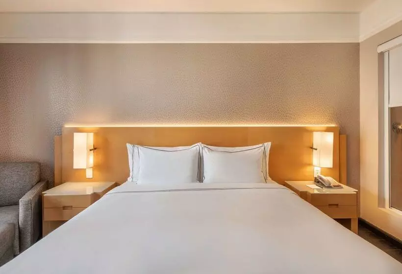 酒店 Melia Campinas