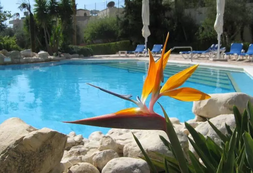 Jacir Palace Hotel Bethlehem