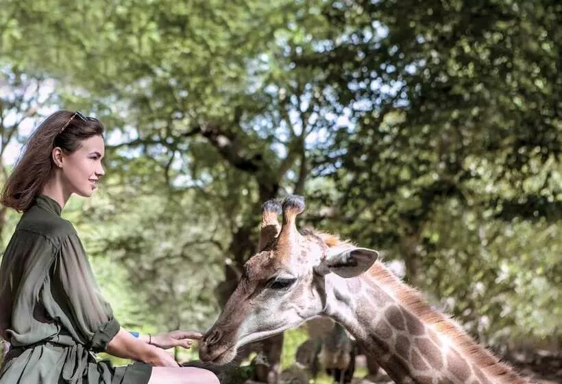 Maradiva Villas Resort And Spa