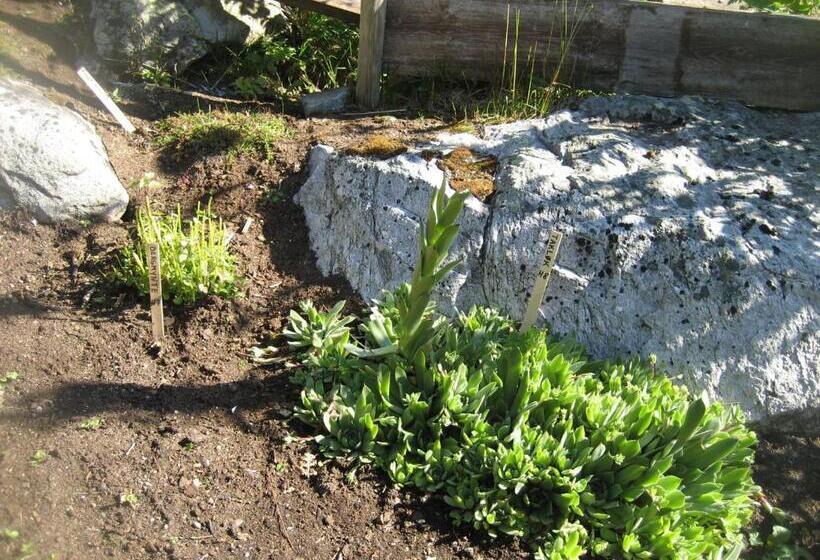 בית מלון כפרי Hakkesetstølen Fjellstugu