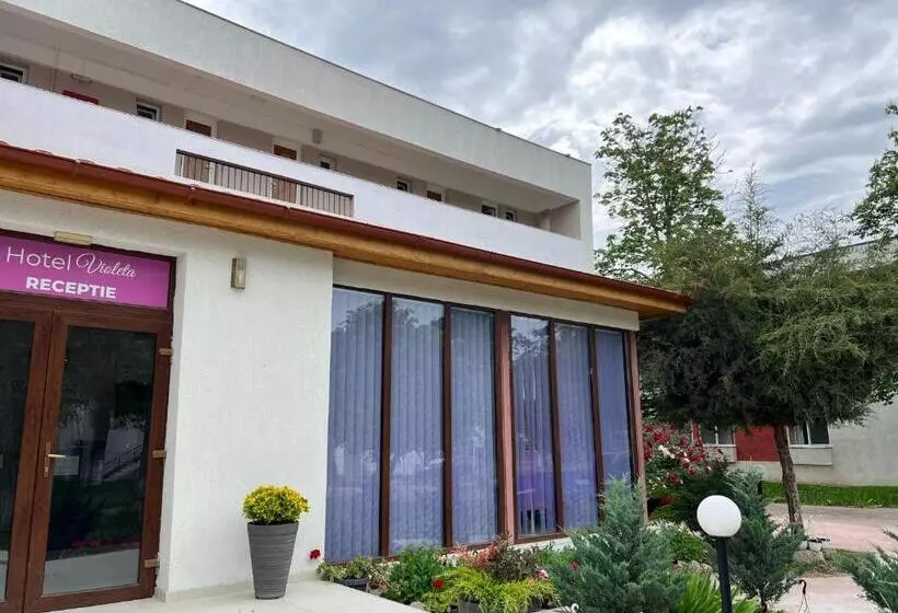 Hôtel Violeta