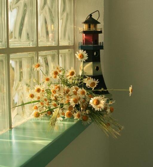 بنسيون Frăgăria