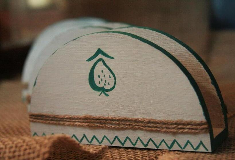 بنسيون Frăgăria