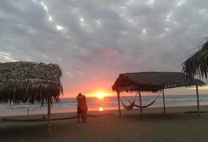 ユースホステル Cabañas El Manglar