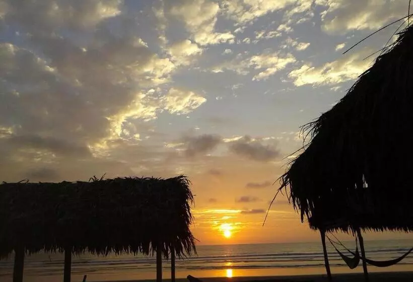 ユースホステル Cabañas El Manglar