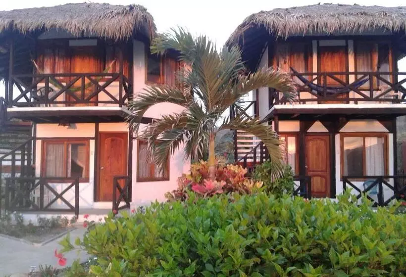 ユースホステル Cabañas El Manglar