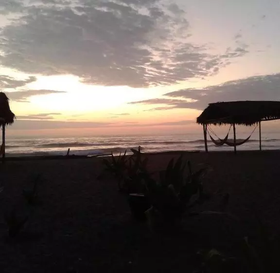 ユースホステル Cabañas El Manglar