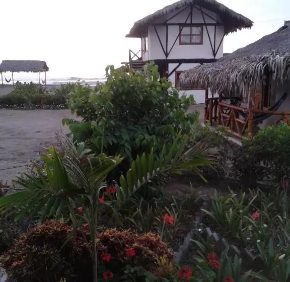 ユースホステル Cabañas El Manglar
