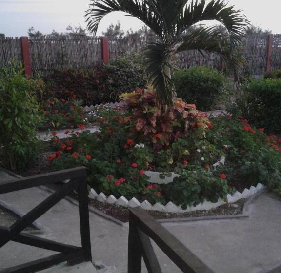 Hostel Cabañas El Manglar