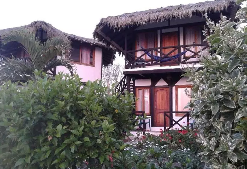 ユースホステル Cabañas El Manglar