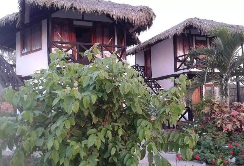ユースホステル Cabañas El Manglar