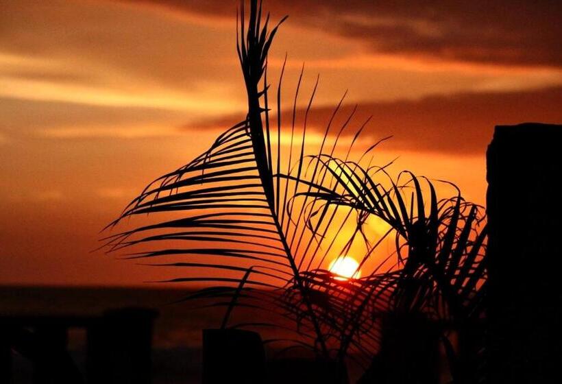 Hostel Hostal Mirada Al Mar