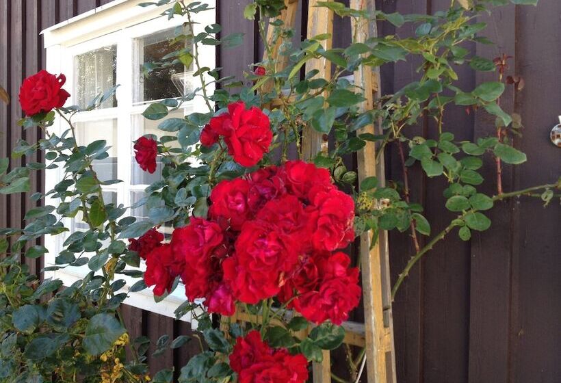 Bed and Breakfast åsa Jutegård