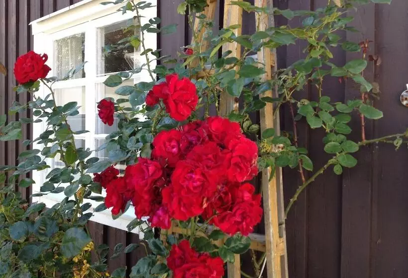 Aamiaismajoitus (B&B) åsa Jutegård