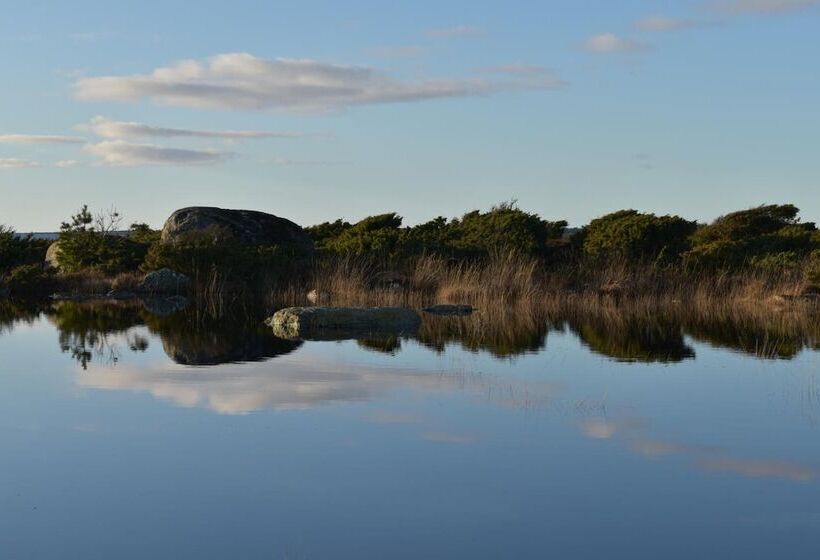 Bed and Breakfast åsa Jutegård