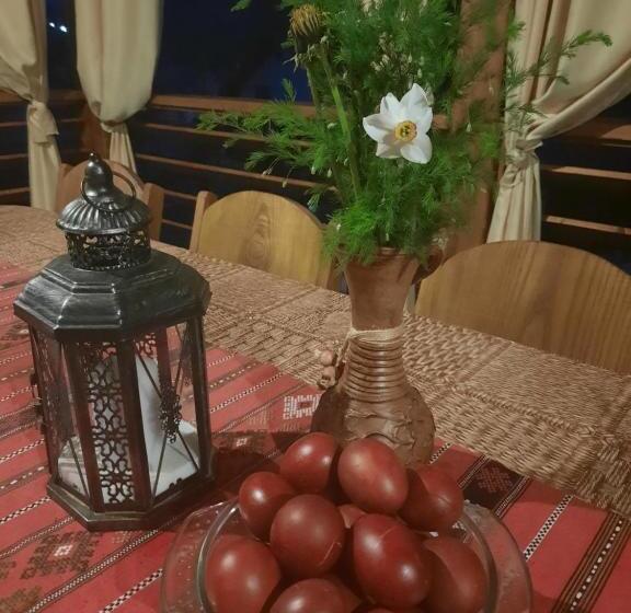 Отель Pensiunea Maria Elena