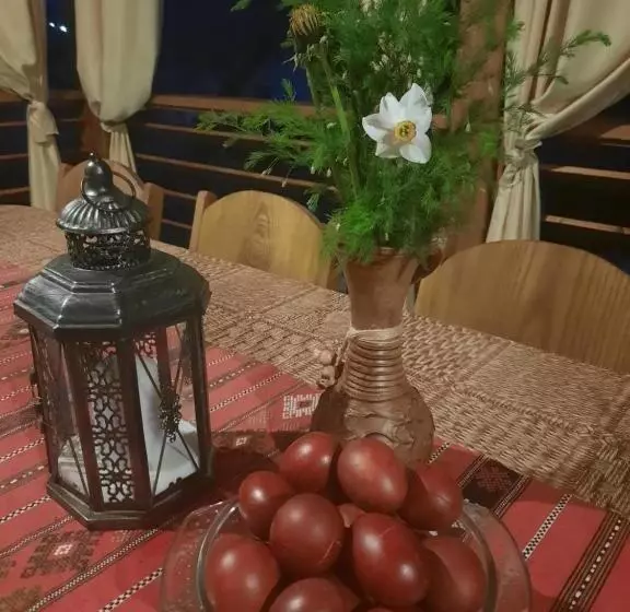 Hotelli Pensiunea Maria Elena
