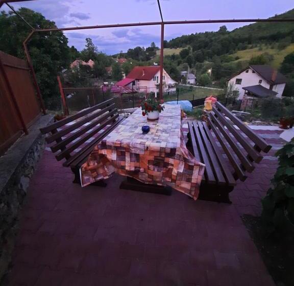 Отель Pensiunea Maria Elena