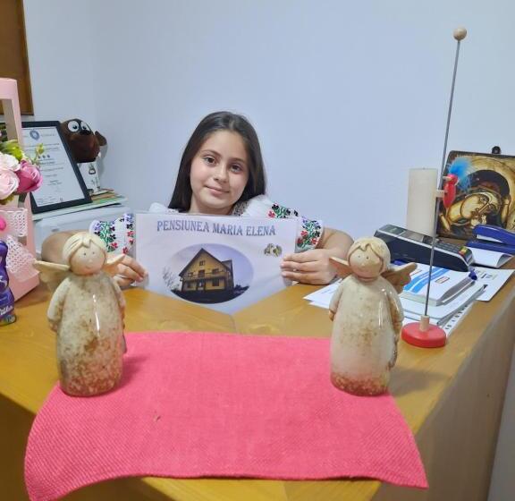 Отель Pensiunea Maria Elena