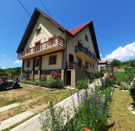 Отель Pensiunea Maria Elena