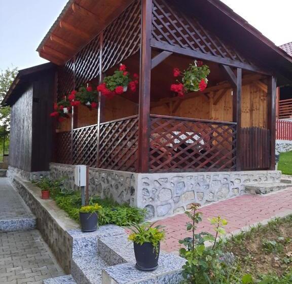 Отель Pensiunea Maria Elena