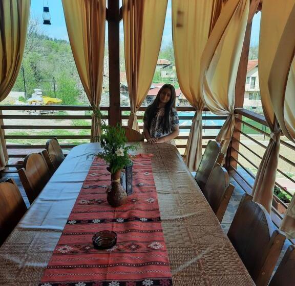 Отель Pensiunea Maria Elena