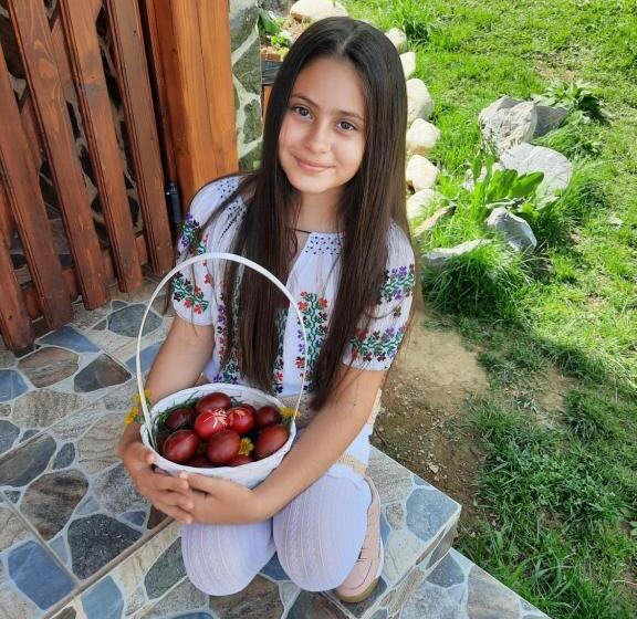 Отель Pensiunea Maria Elena