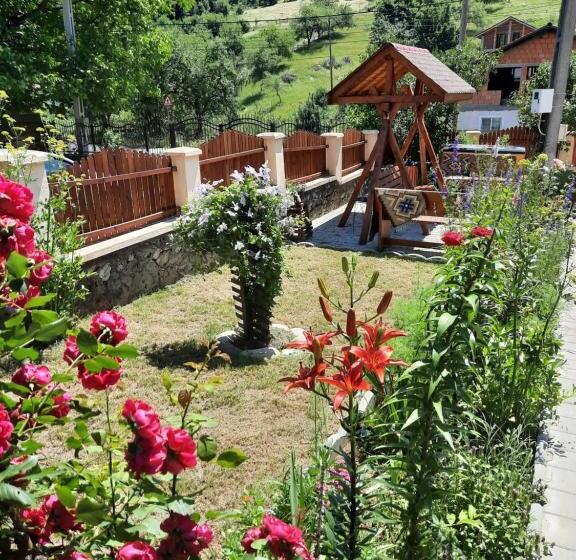 Отель Pensiunea Maria Elena