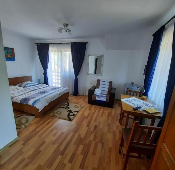 Отель Pensiunea Maria Elena