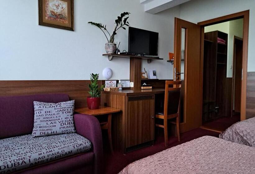 פנסיון Penzion Kozak B&b