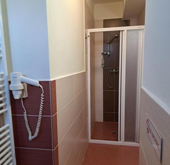 פנסיון Penzion Kozak B&b