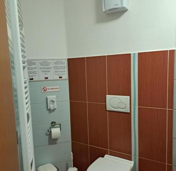 פנסיון Penzion Kozak B&b