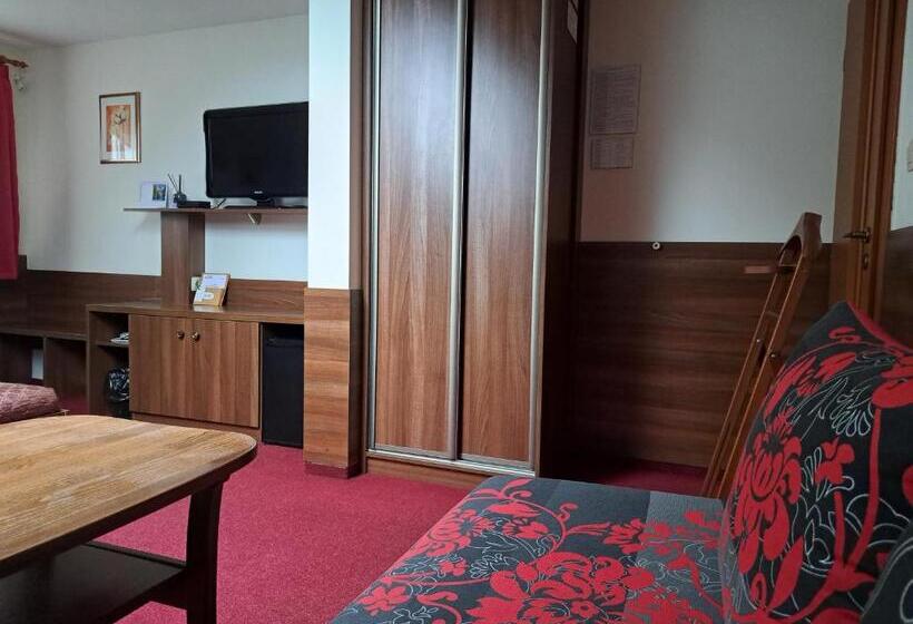 פנסיון Penzion Kozak B&b