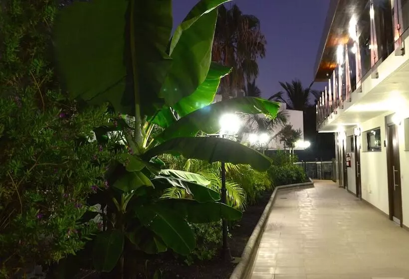 Apartamentos Cataleya