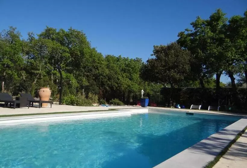تختخواب و صبحانه Mas Val Chênaie Gordes